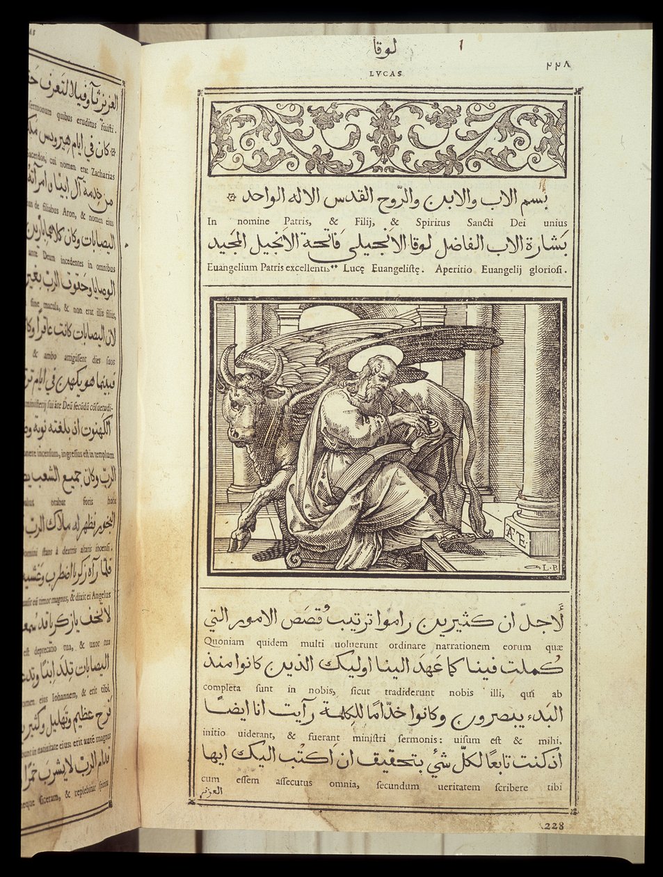 Evangelisten Lukas i «Bibelen»» skrevet på latin og arabisk. av Unknown artist