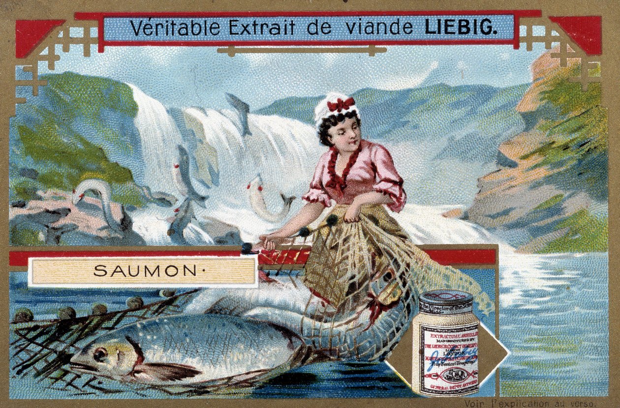 Laksefiske - kromo fra 1800-tallet. av Unknown artist