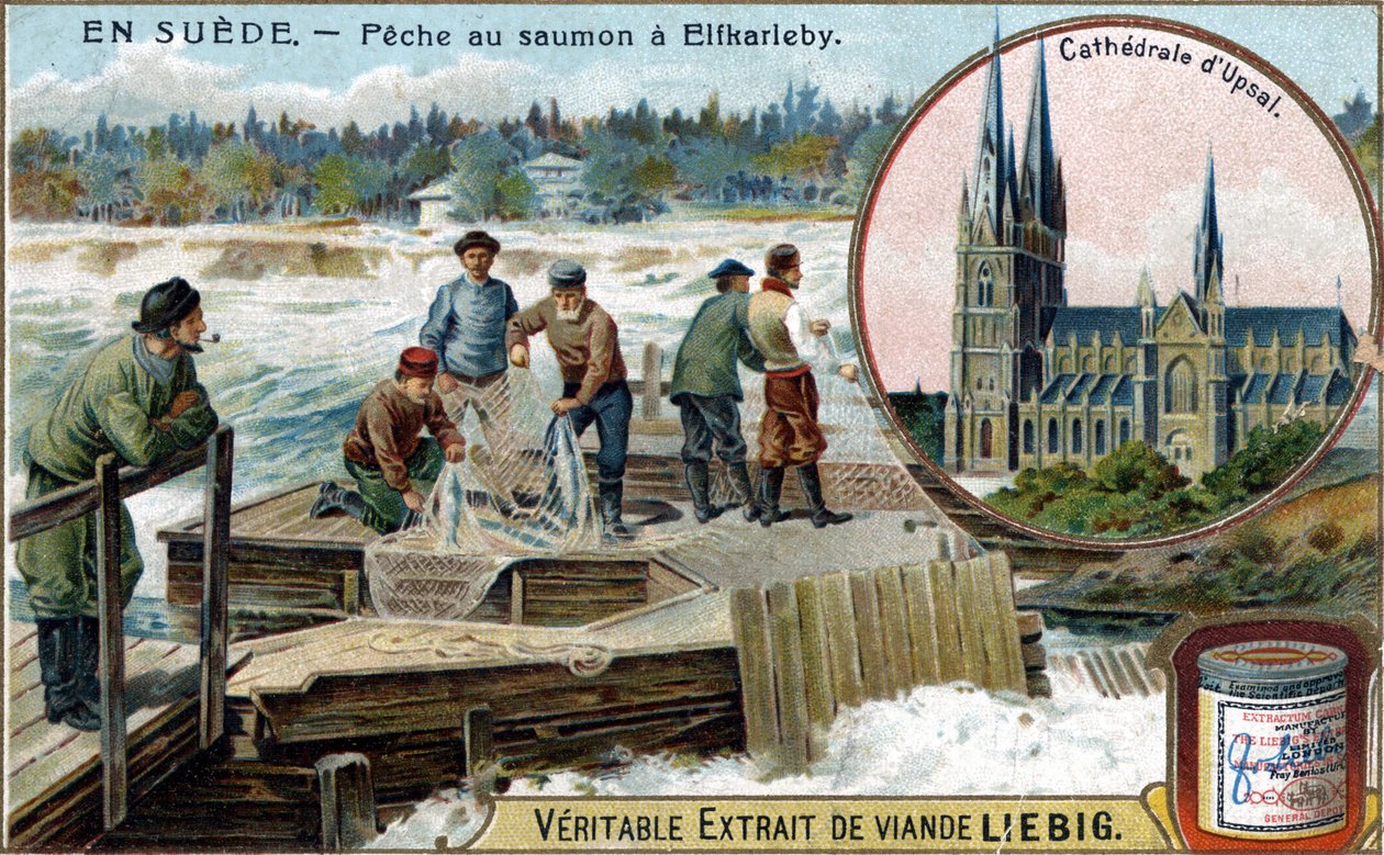 Laksefiske i Elfkarleby, Sverige. Kromolitografi, Liebig-bilde. av Unknown artist