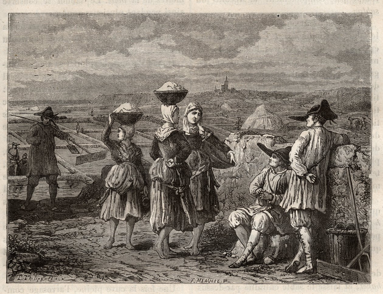 Salt evaporation pond in Brittany - Paludiers and sauniers in Brittany (France), salt marshes - engraving in 