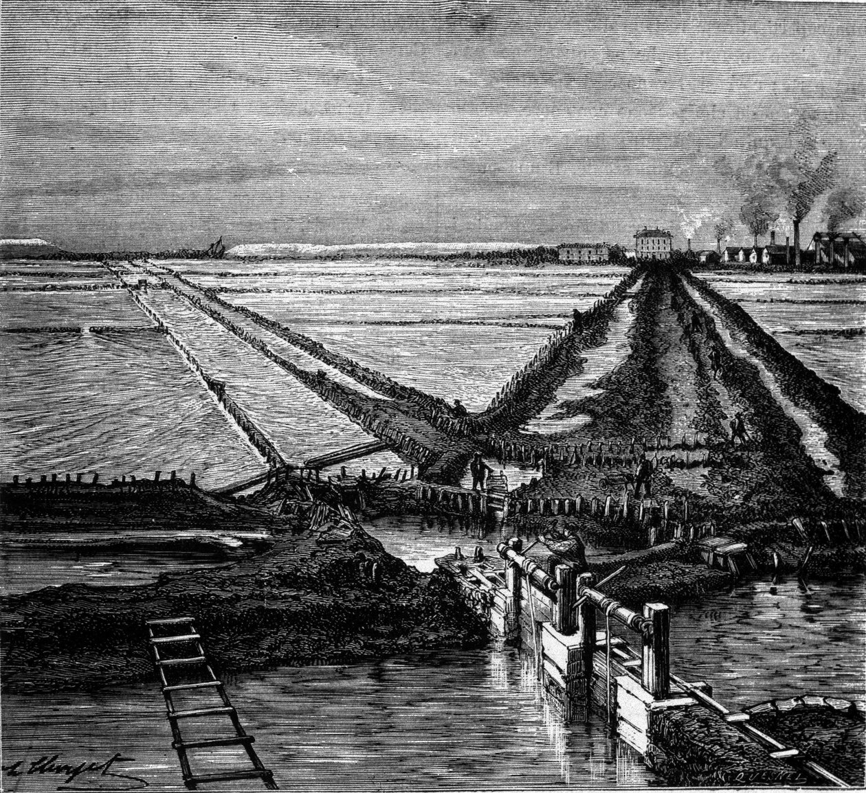 Saltproduksjon: utsikt over et saltvann (saltmyr) ved Middelhavskysten. Gravering av 1800-tallet av Unknown artist