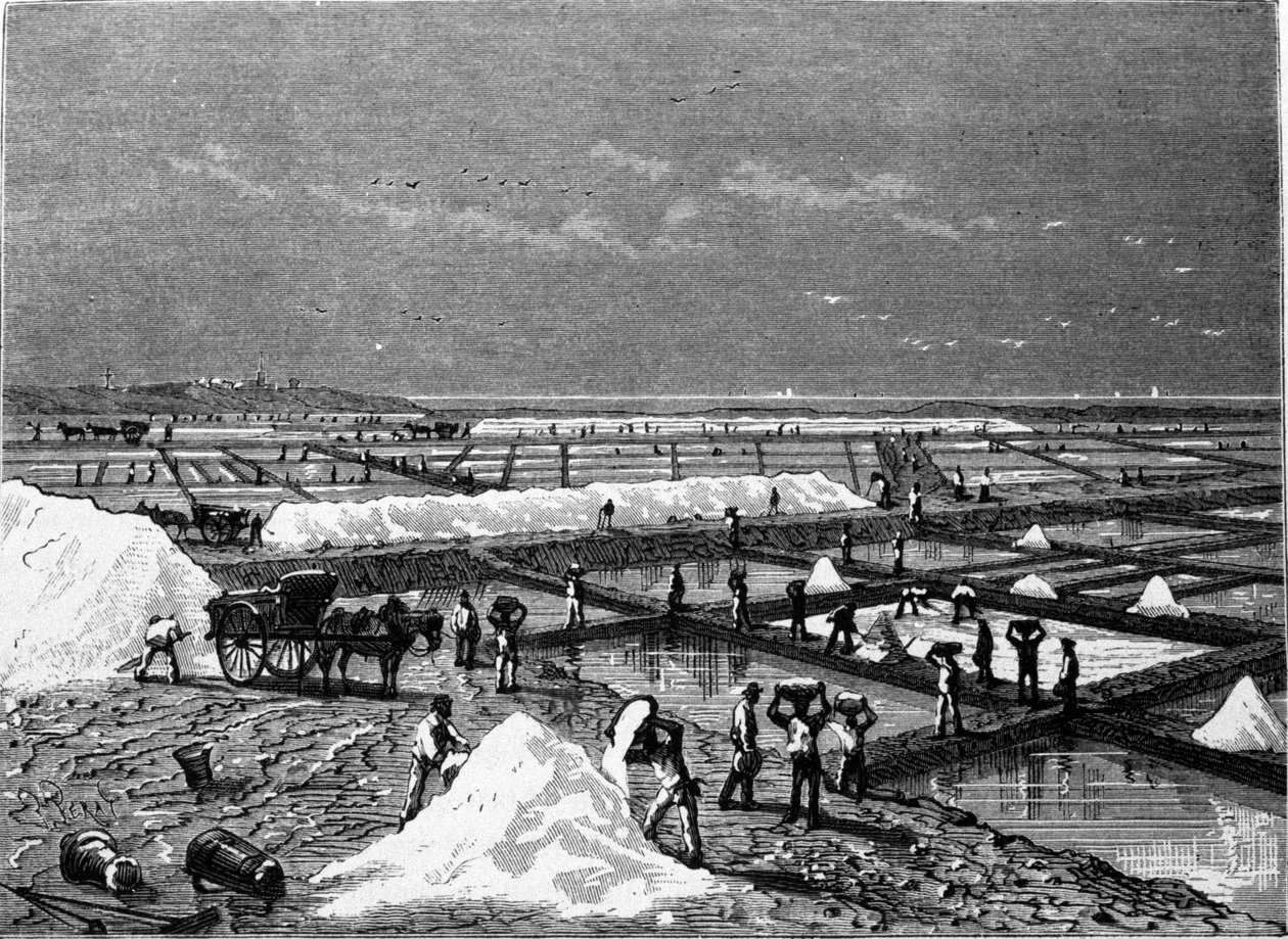 Saltproduksjon: utsikt over en saltmyr (saltvann) gravering fra 1800-tallet av Unknown artist