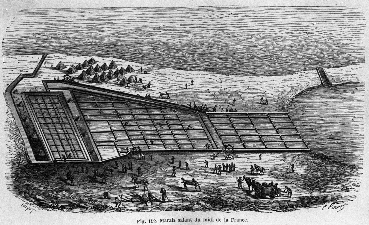 Saltproduksjon: utsikt over en saltmyr i Sør-Frankrike, gravering fra 1880 av Unknown artist