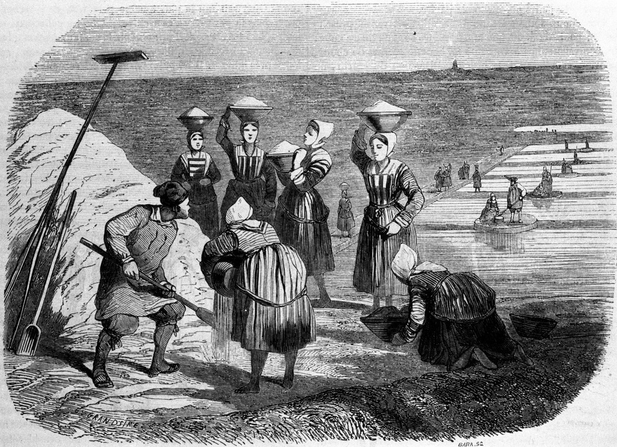 Saltproduksjon: kvinner som jobber i saltmyrer. 1800-talls gravering av Unknown artist
