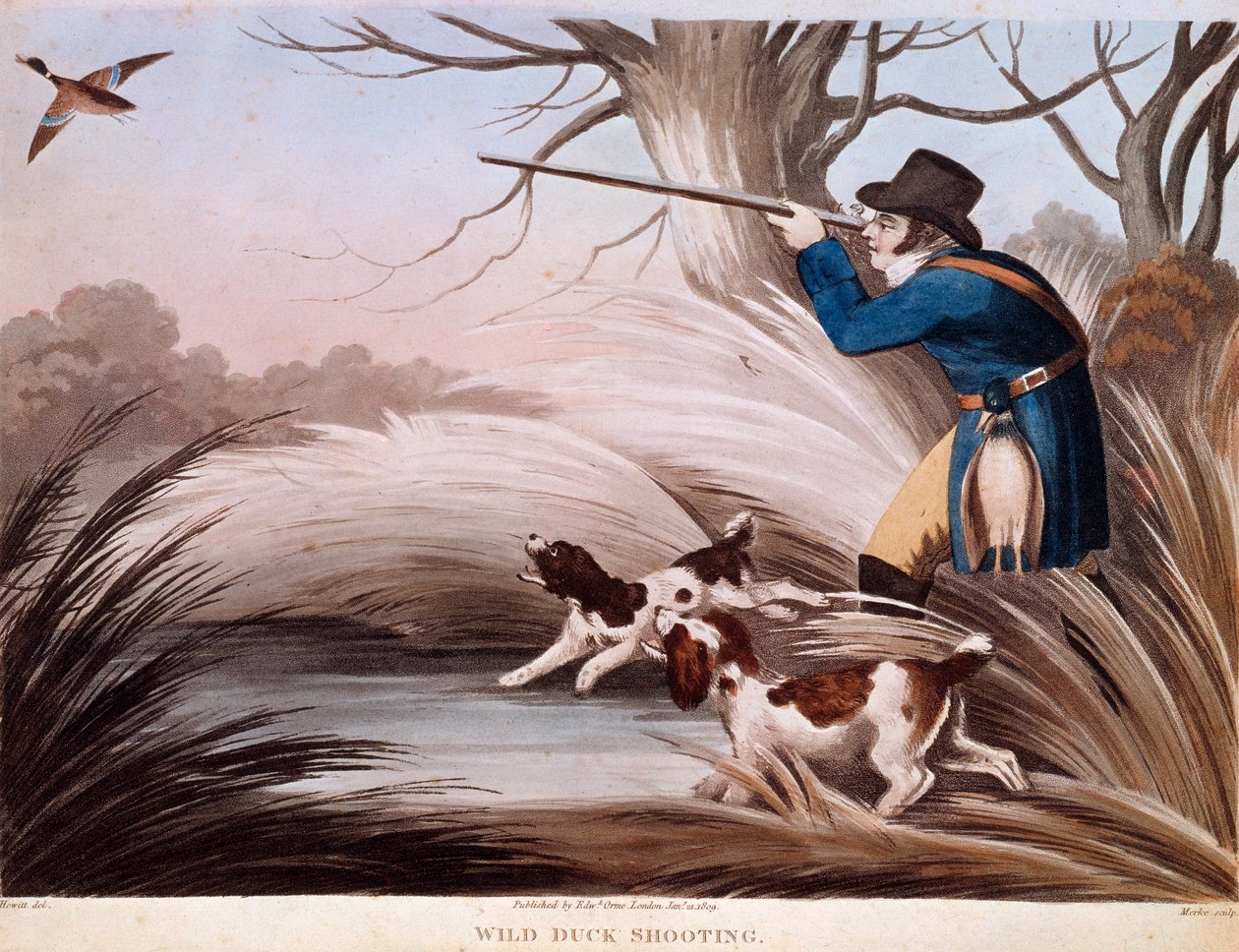 Scene for andejakt i England. Litografi fra 1800-tallet Gien, jaktmuseum av Unknown artist