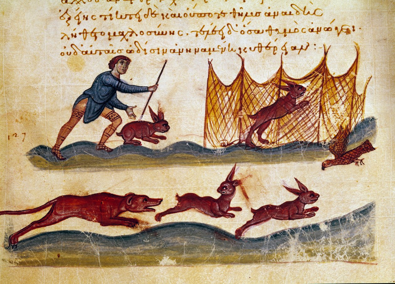 Scene med jakthare Miniatyr hentet fra jakthandelen "" The Cynegetics "" av Oppian (Oppian eller Oppianus) fra Syria (3. århundre e.Kr.) dedikert til Caracalla. Venezia fra 1000-tallet. Biblioteca Marciana av Unknown artist