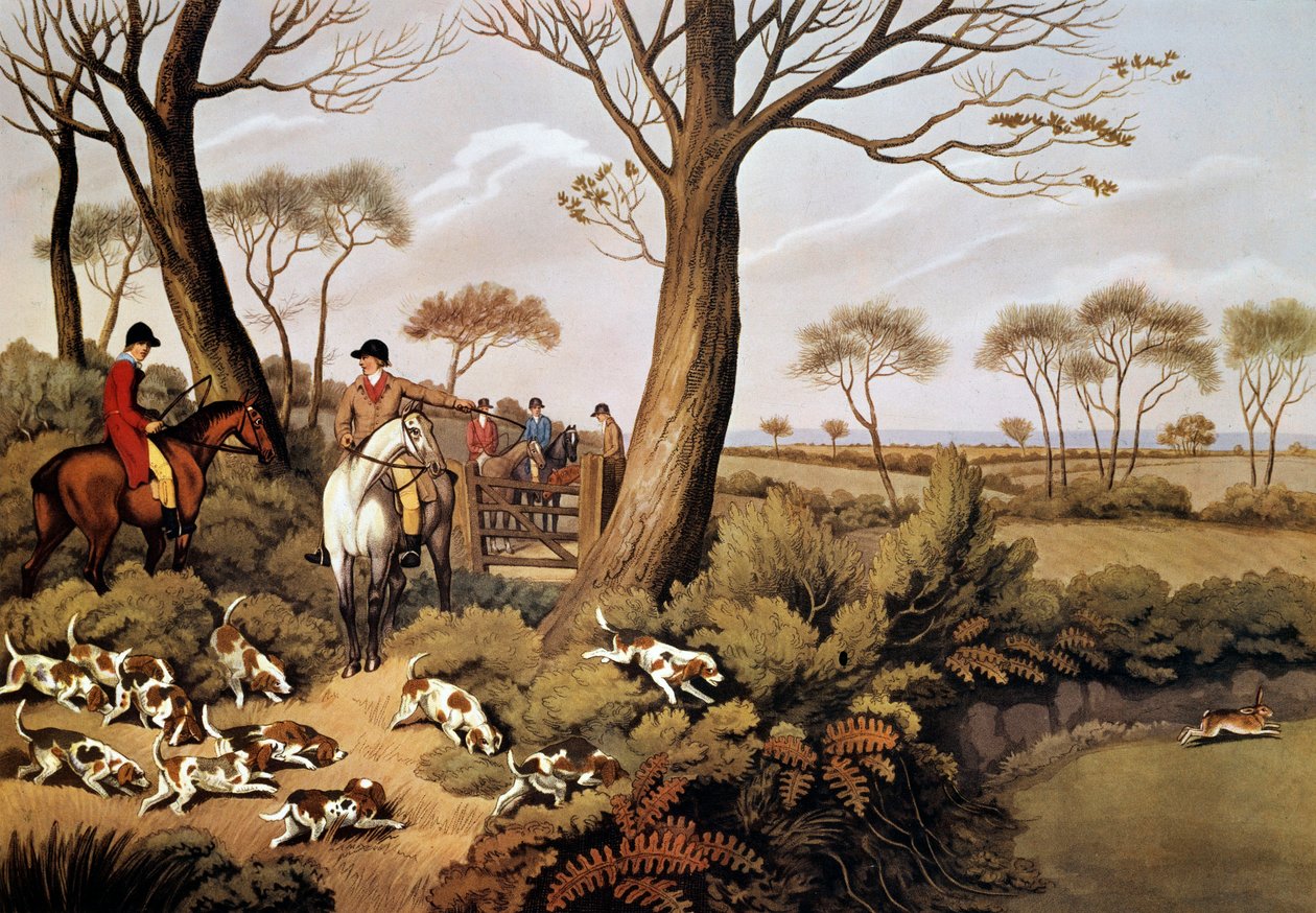 Scene for å jakte harer i England. Litografi fra 1800-tallet Gien, jaktmuseum av Unknown artist