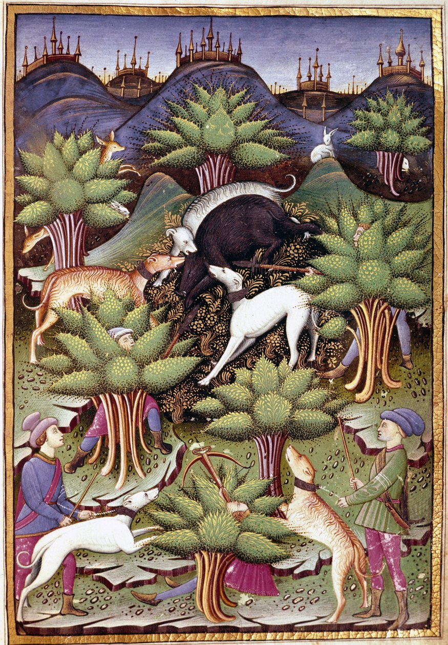 Scene med villsvinjakt Miniatyr fra "" Behandle falkejakt og venerier med mottoet og emblemet til hertugen av Sforza" 1459 (ms. 1375) Chantilly, Musee Conde av Unknown artist
