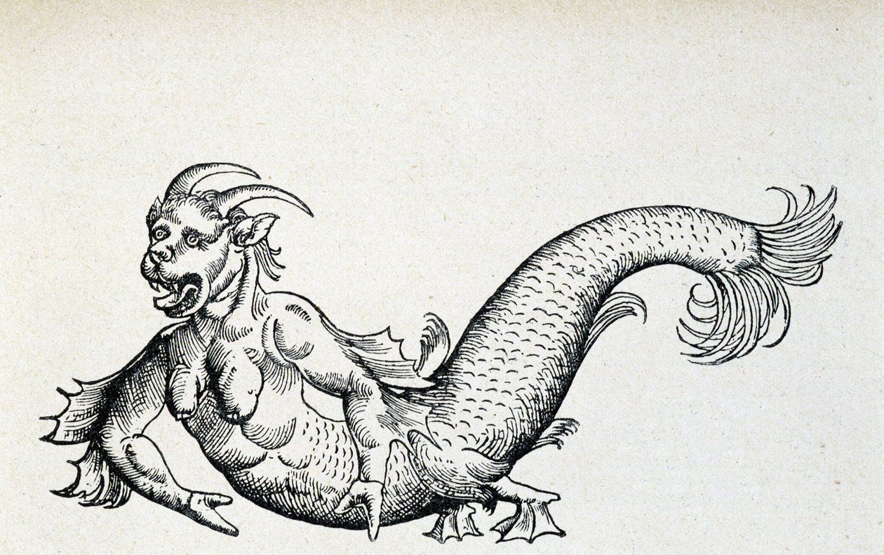 Havdjevel, visstnok fanget i Adriaterhavet på begynnelsen av 1400-tallet - ifølge Gesner av Unknown artist