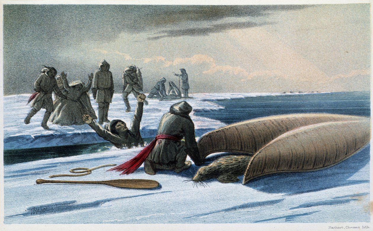 Seljakt: "" Seljakt i bukten"" - i "" Exploration of the Labrador Peninsula"" av Hind, London av Unknown artist