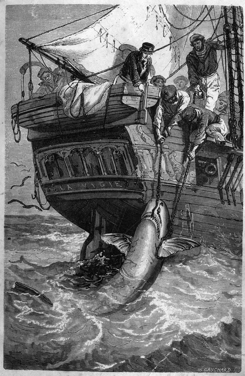 Shark fishing. (Pesca allo squalo) 19th century engraving. Private collection. av Unknown artist