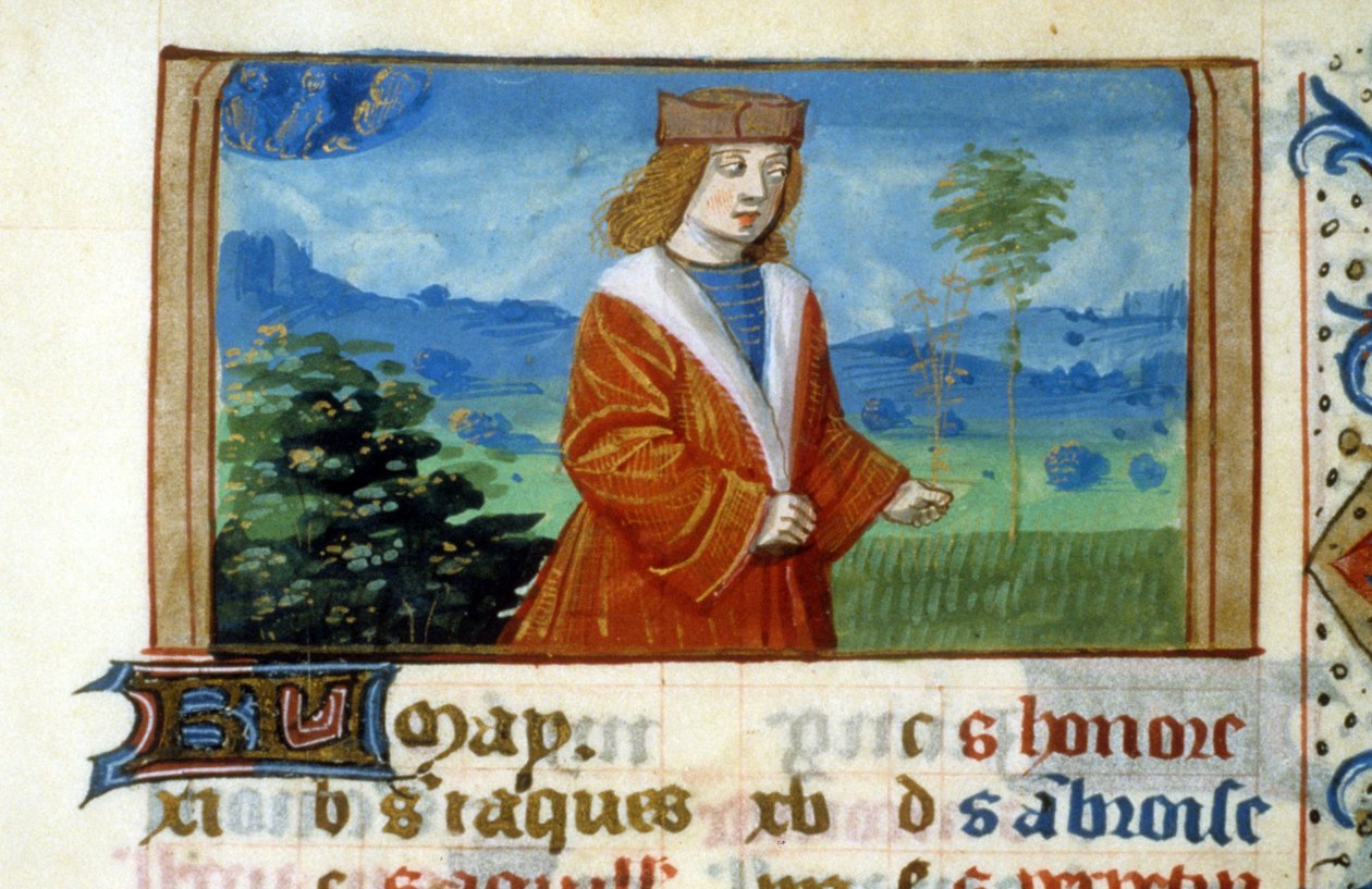 Tegn på Tvillingene og mennesket i markene - miniatyr, middelalder: Be om tillatelse fra kommunalbiblioteket i Toulouse (tlf: 05 62 27 66 66) av Unknown artist
