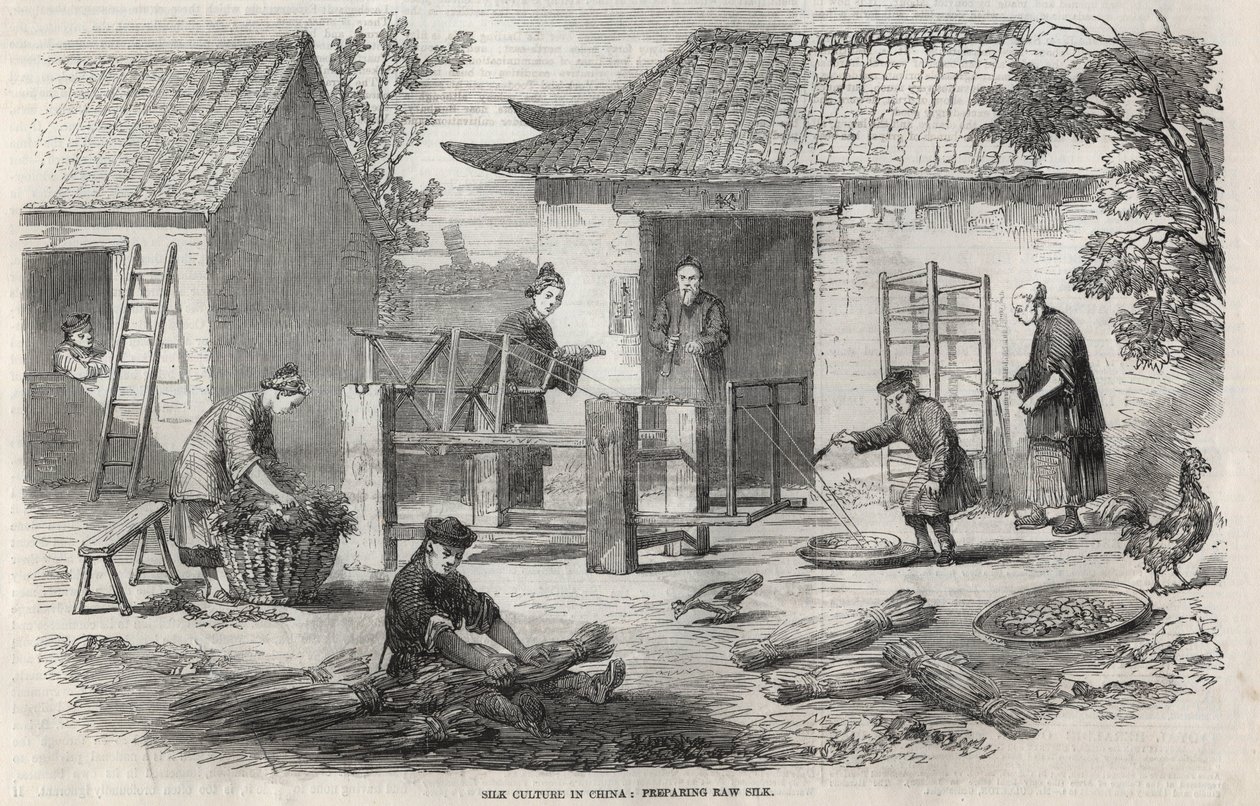 Silke produksjon i Kina og de ulike stadier av produksjon. av Unknown artist