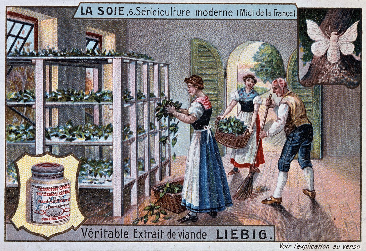 Silke: silkeverksted i Sør-Frankrike, Liebig publisitet, v. 1895 av Unknown artist