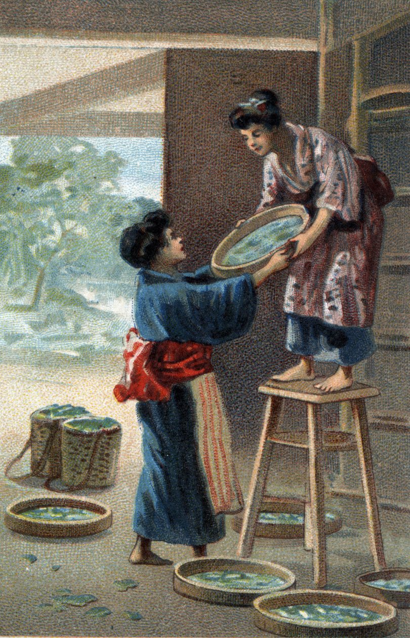 Silkworm breeding in a Japanese magnet. Chromolitography of the late 19th century. av Unknown artist