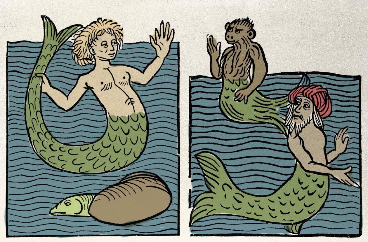Sirene eller Virgin of the Sea, Monkey og Sea Turk. Gravering fra "Hortus sanitatis"" av Unknown artist