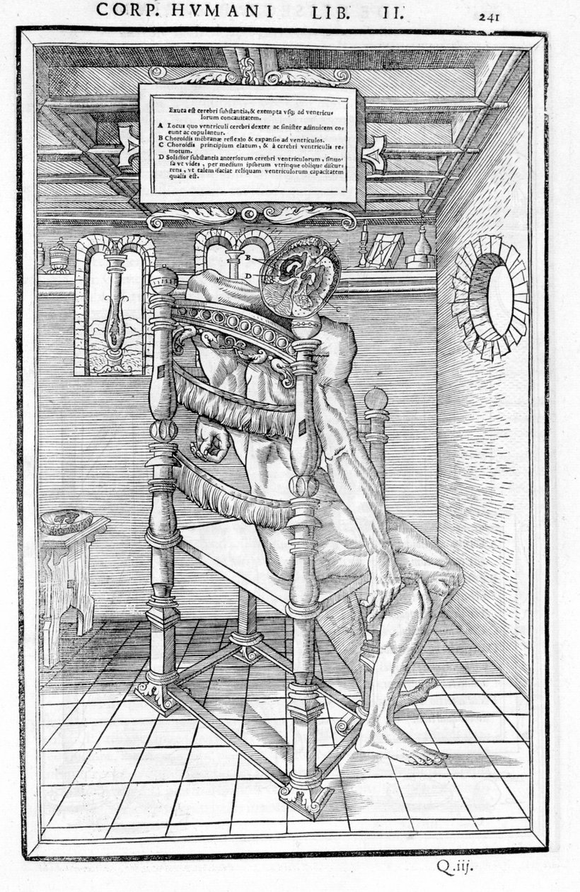 Hodeskalle kuttet. Anatomisk styre for "Disseksjonen av de tre delene av menneskekroppen ..." Carlo Stefano Riverio, Paris 1545 av Unknown artist