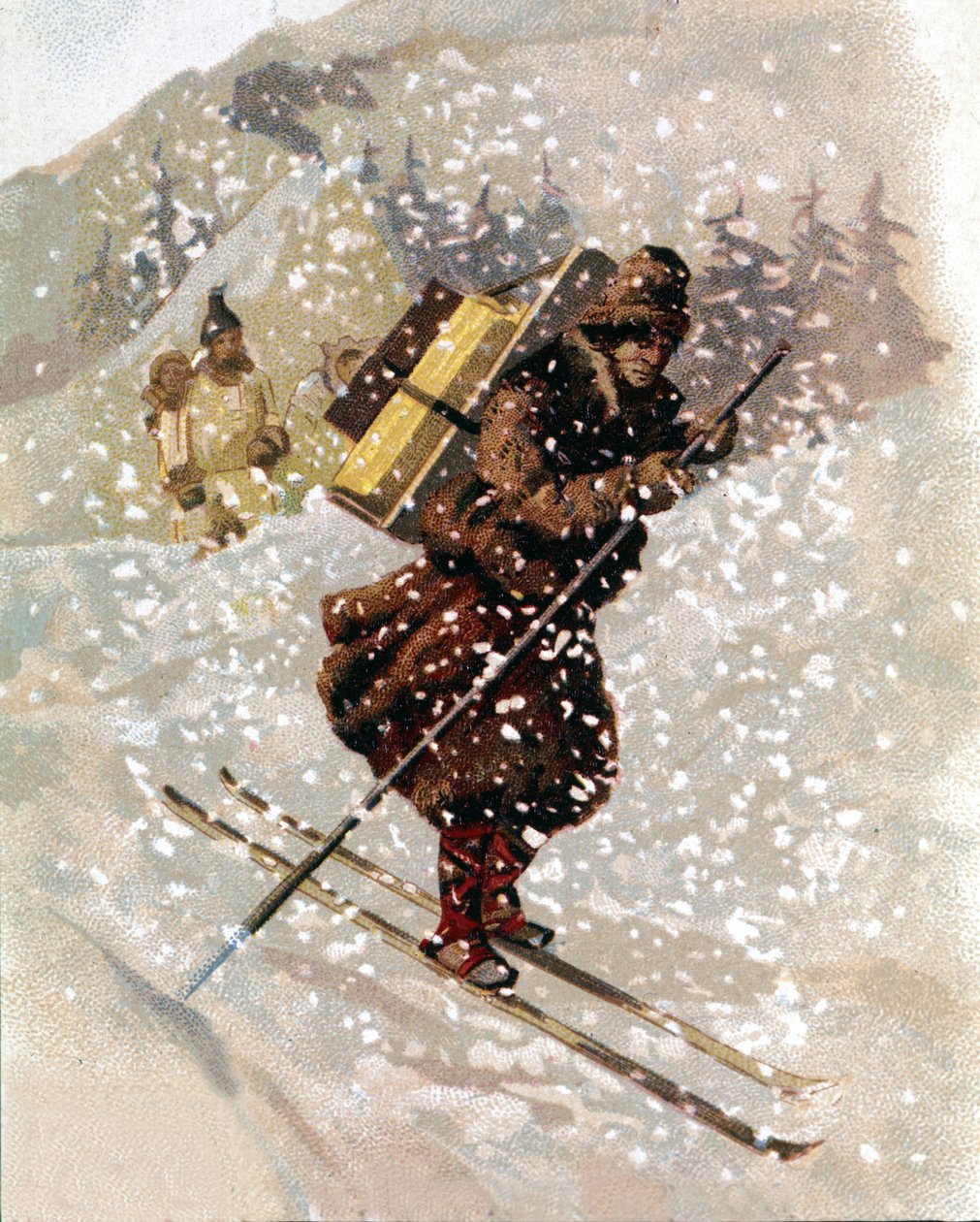 Snøløper. chromo. av Unknown artist