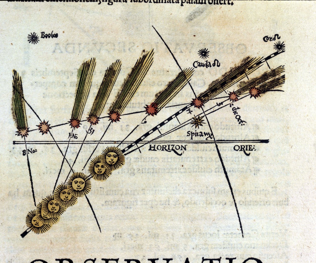 Studie om kometer - i Astronomicon caesarum, avhandling fra 1500-tallet. av Unknown artist