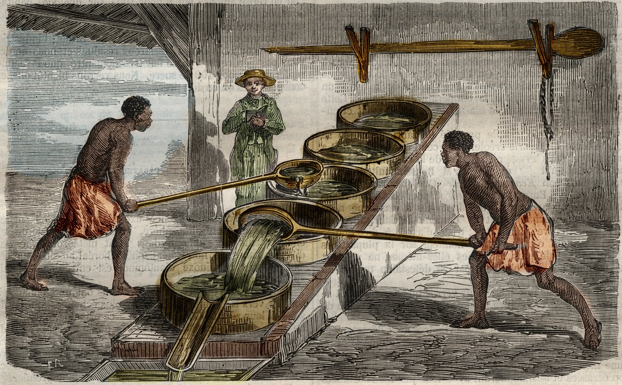 Sukkerproduksjon: kjeler for å koke sukkerrørsaft i en sukkerfabrikk i Vestindia. Gravering fra 1859 i «Le Musee Des Sciences» av Unknown Artist