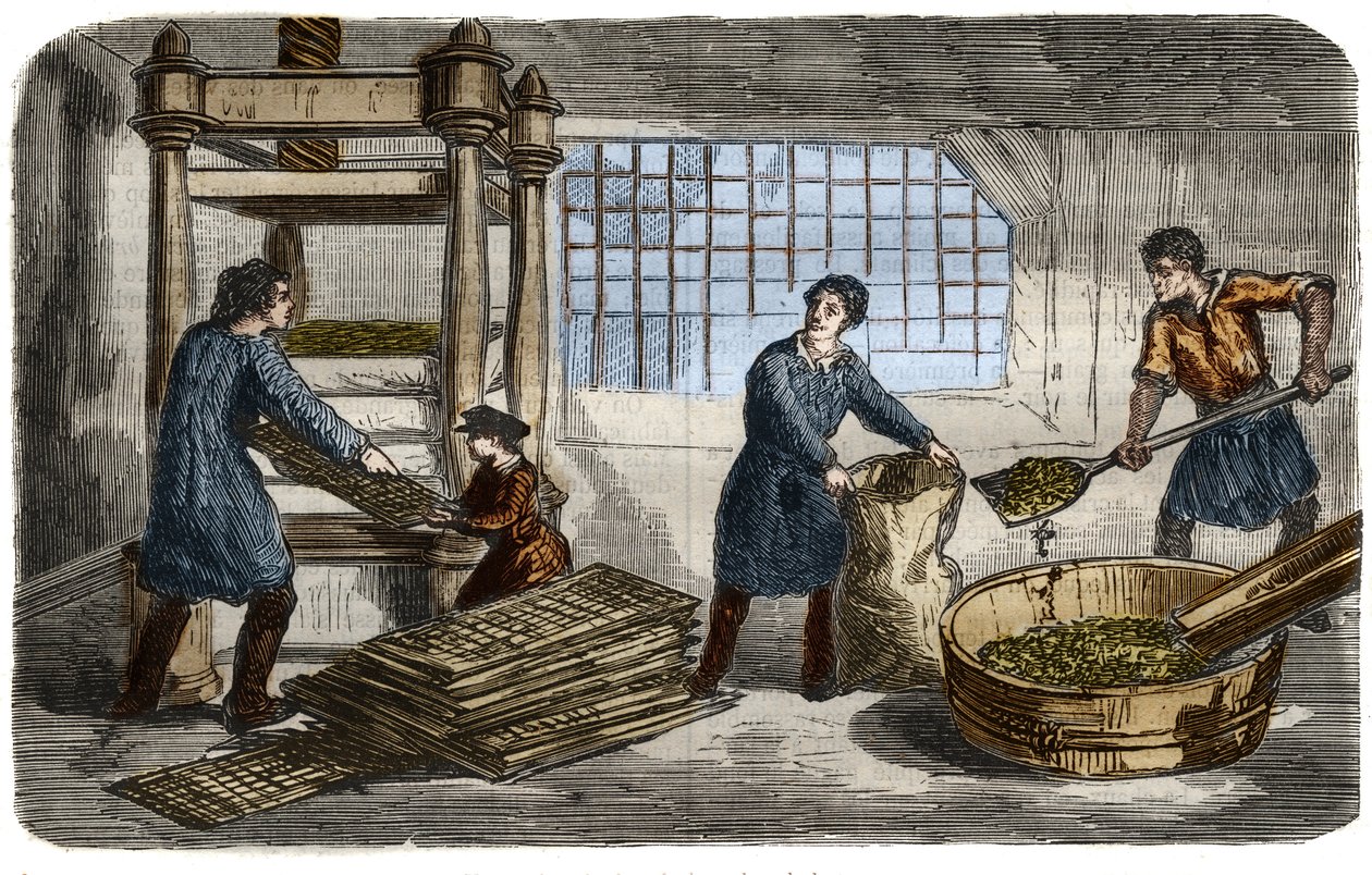 Sugar manufacturing: extraction of juice from beet pulp. The pulp is stuffed in bags that are stacked under the tray of a hydraulic press. Engraving from 1859. in “” The Museum of Sciences”” av Unknown artist