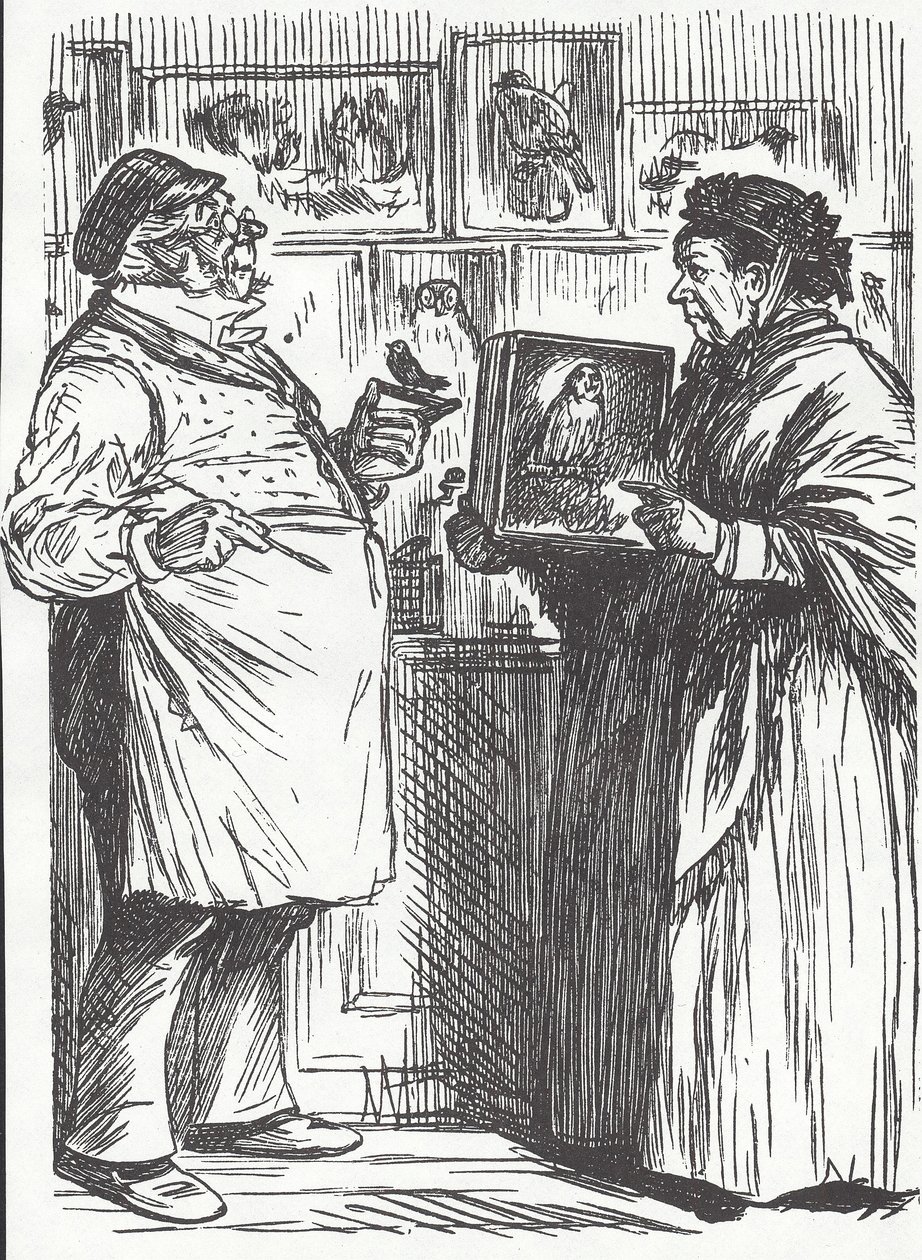 Taksidermist, sent på 1800-tallet (tregravering) av Unknown artist