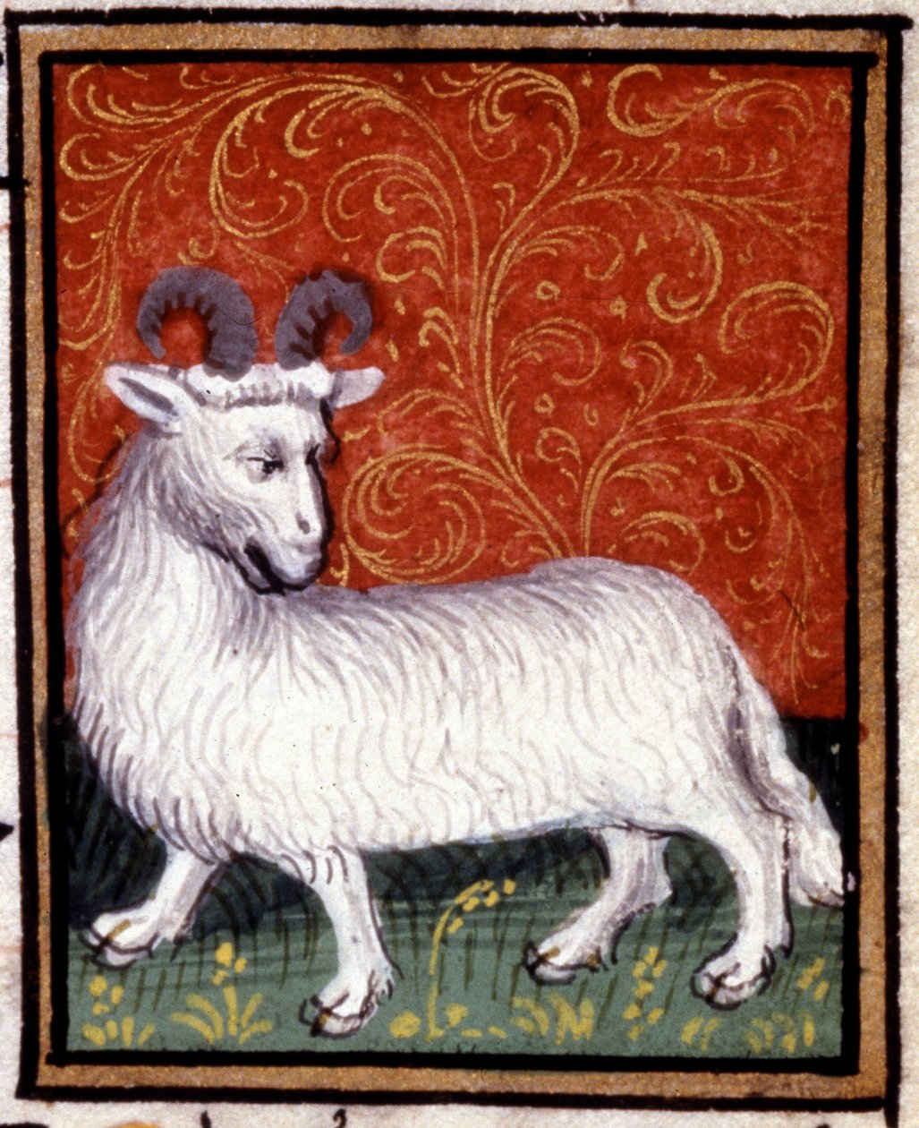 Væren. Miniatyr av et horoskop. 1400-talls manuskript. Bibl. Trivulziana, Milano. av Unknown artist