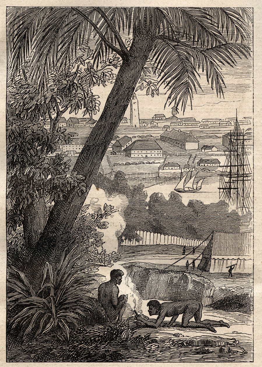 The Expedition to the Southern Lands (1800-1803) av Nicolas Baudin (1754-1803): View of Sydney (Australia) - illustrasjon fra "The Great Mariners of the 18th century"" av Unknown artist
