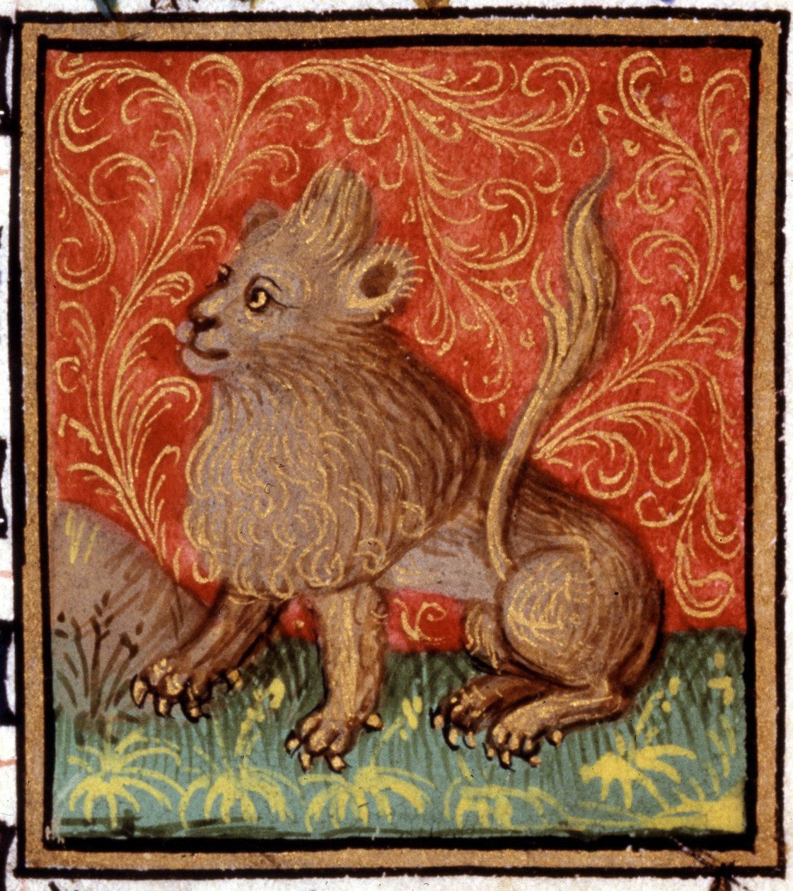 Løven. Miniatyr av et horoskop. 1400-talls manuskript. Bibl. Trivulziana, Milano. av Unknown artist
