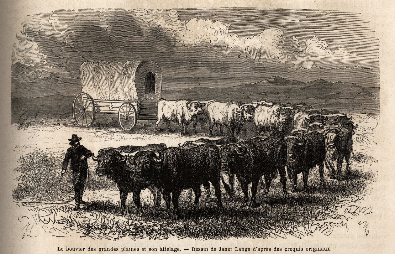 De store slettene styrer og dens feste. Gravering for illustrasjon av turen til det amerikanske fjerne vesten, av M. L. Simonin, i 1867, publisert i "Le tour du monde, nouveau journal des voyages", redigert av Edouard Charton av Unknown artist