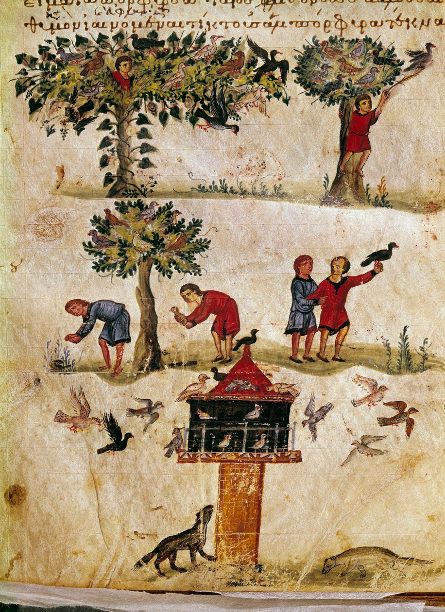 Avl og trening av miniatyrfalker fra jakten "" The Cynegetics "" fra Oppian (Oppian eller Oppianus) i Syria (3. århundre e.Kr.) dedikert til Caracalla. Venezia fra 1000-tallet. Biblioteca Marciana av Unknown artist