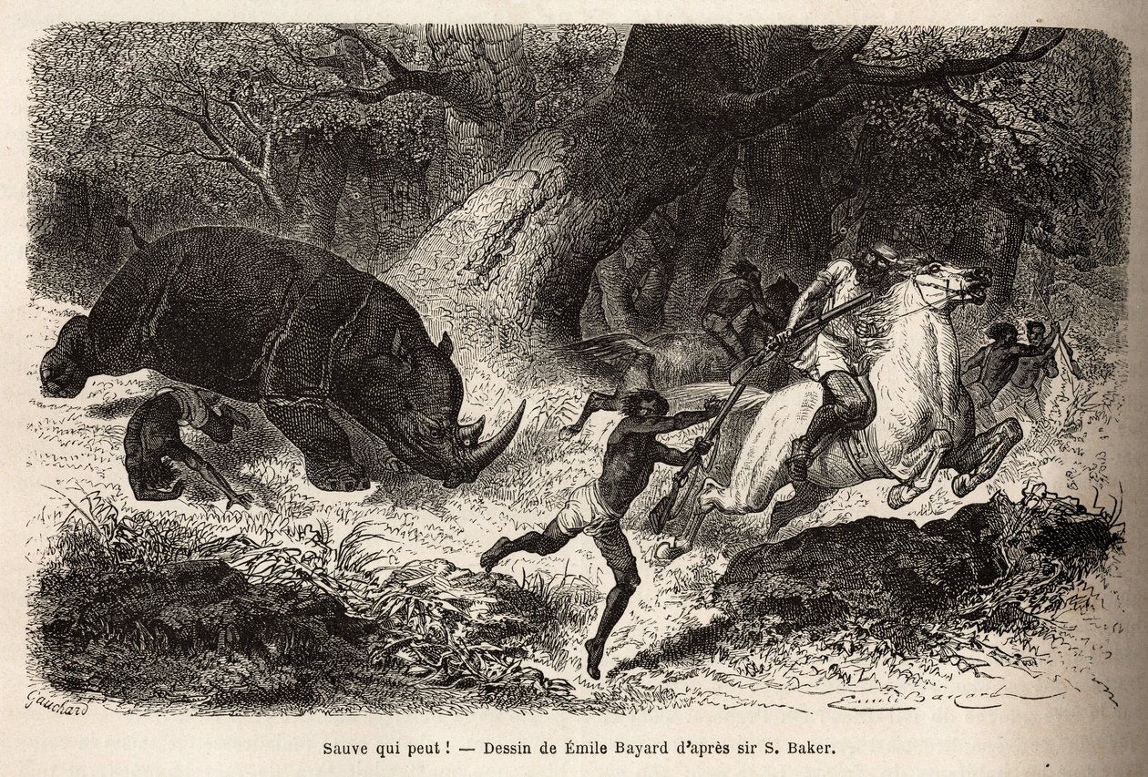 Anklagen om neshornet som velter og fanger jegerne, under letingen etter forfatteren og hans guider. Gravering for å illustrere utforskningen av de abessiniske sideelvene til Nilen, av Sir Samuel W. Baker, i 1861-62, publisert i "" Le tou av Unknown artist