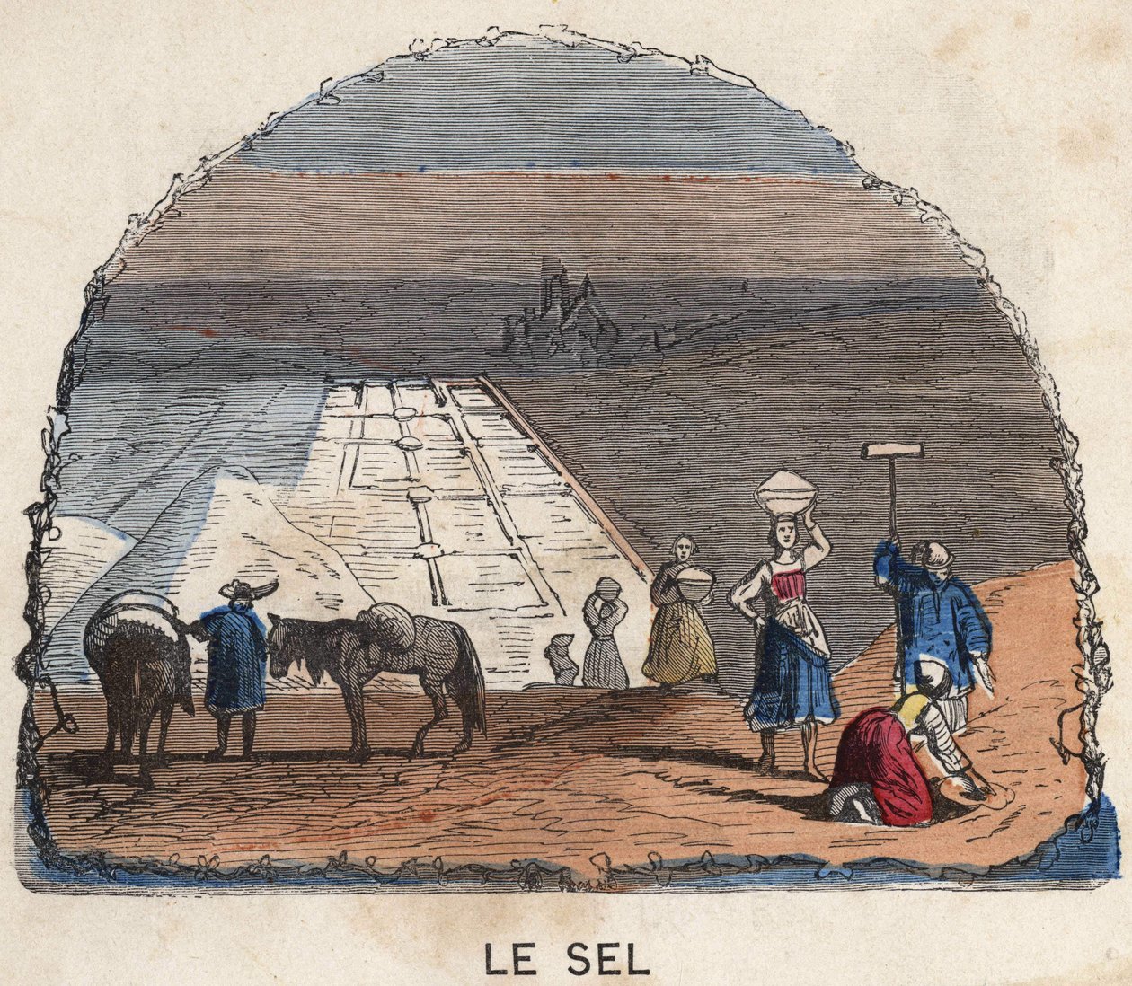 Samlingen av salt. 1800-talls illustrasjon. Bianchetti samling. av Unknown artist