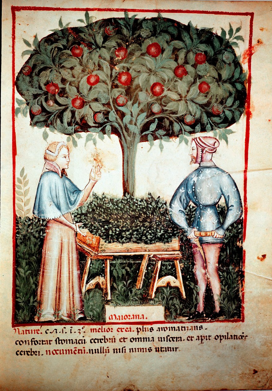 Samlingen av Merian Illuminure fra melking av medisin og kosthold "" Tacuinum sanitatis"" etter melking av medisin "" Kitabtaqwim as-sihha"" av Ibn Butlan av Unknown artist