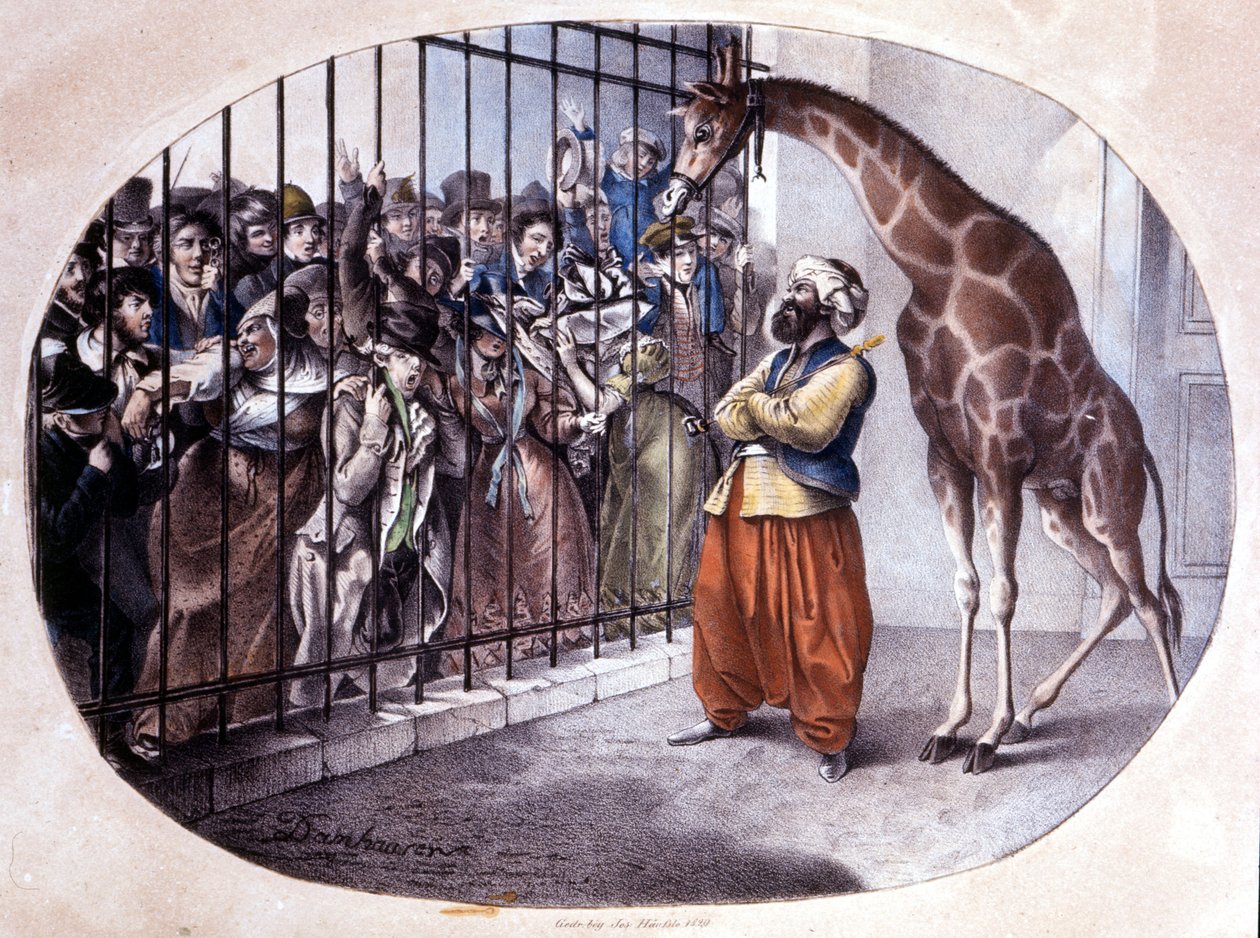Den nysgjerrige mengden skyndte seg for å se en sjiraff bak en port. Litografi av Danhaaren. 1829 av Unknown artist