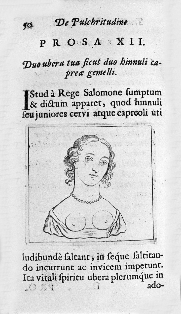 Det feminine brystet. Side hentet fra "A Study of Physiological Beauty"" omhandler Ernesto Venio (Ernestus Vaenius) som forsvarer skaperverkets skjønnhet mot en anonym motstander. 1612 av Unknown artist