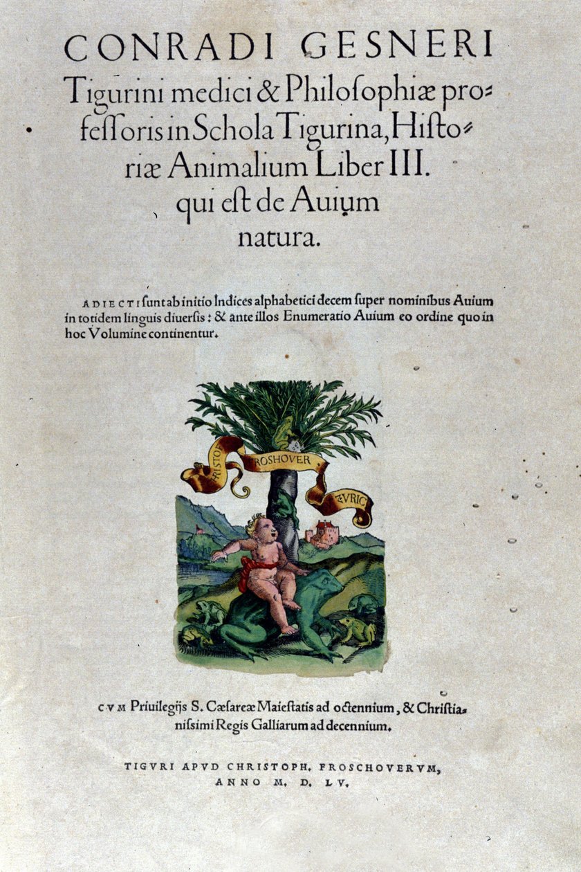 Forsiden av det tredje bindet av Historia Animalium av Conrad Gesner (1516 - 1565), Tiguri av Unknown artist