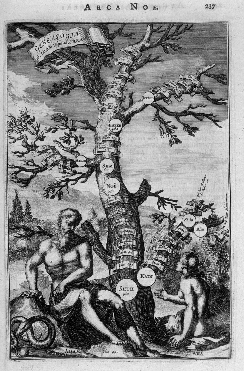 Slektstreet fra Adam til Abraham - bibel av Unknown artist