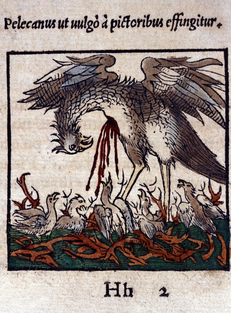 Legenden om pelikanen: han gir blodet og innvollene for å mate ungene sine. Fra Historiae animalium av Konrad Gesner, Tiguri av Unknown artist