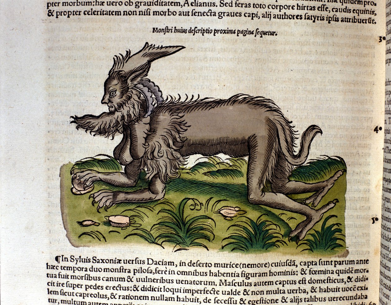 Manticore fra Historia Animalium av Conrad Gesner, Tiguri 1560. Biblioteca Nazionale Braidense. Milan av Unknown artist