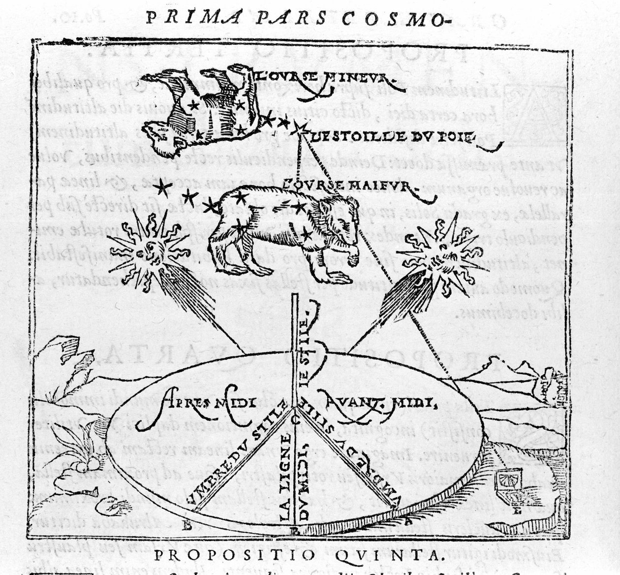 Polarstjernen og stjernebildene til bjørnen etter "cosmographia" av Pietro Apianus. Paris 1551 av Unknown artist