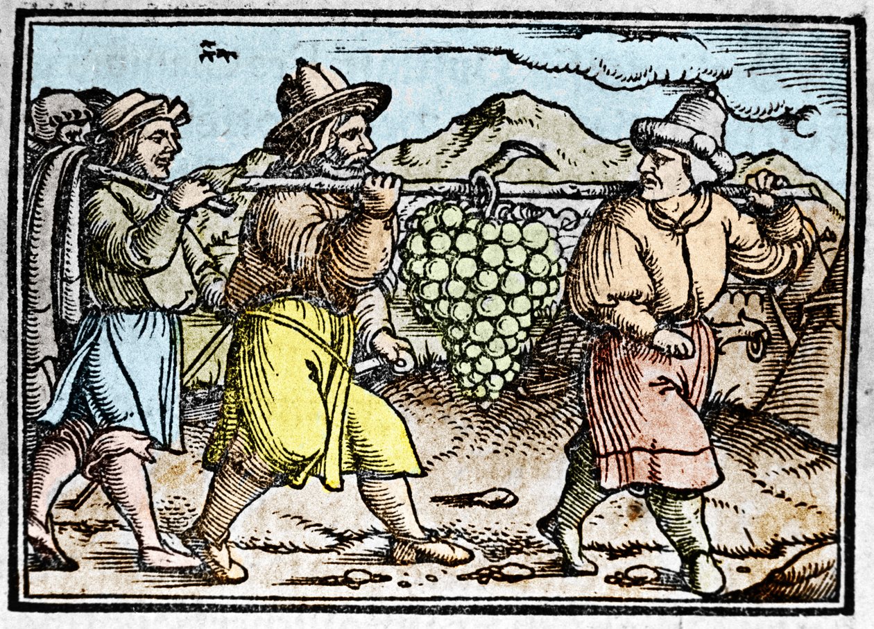 Josva og Kaleb kommer tilbake med en enorm drueklase fra Kanaans land (det lovede land). Kronikk av Johann Stumpff “” Den edlen strucen besten fromen”” av Unknown artist