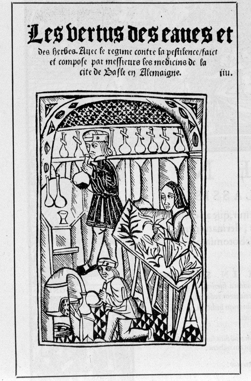 Butikken til et apotek på 1500-tallet av Unknown artist