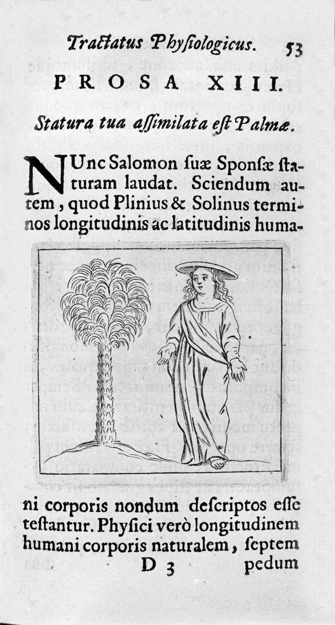 Størrelsen på kvinnen. Siden hentet fra "" Tractatus physiologicus de pulchritudine""" omhandler Ernesto Venio (Ernestus Vaenius) som forsvarer skaperverkets skjønnhet mot en anonym motstander. 1612 av Unknown artist