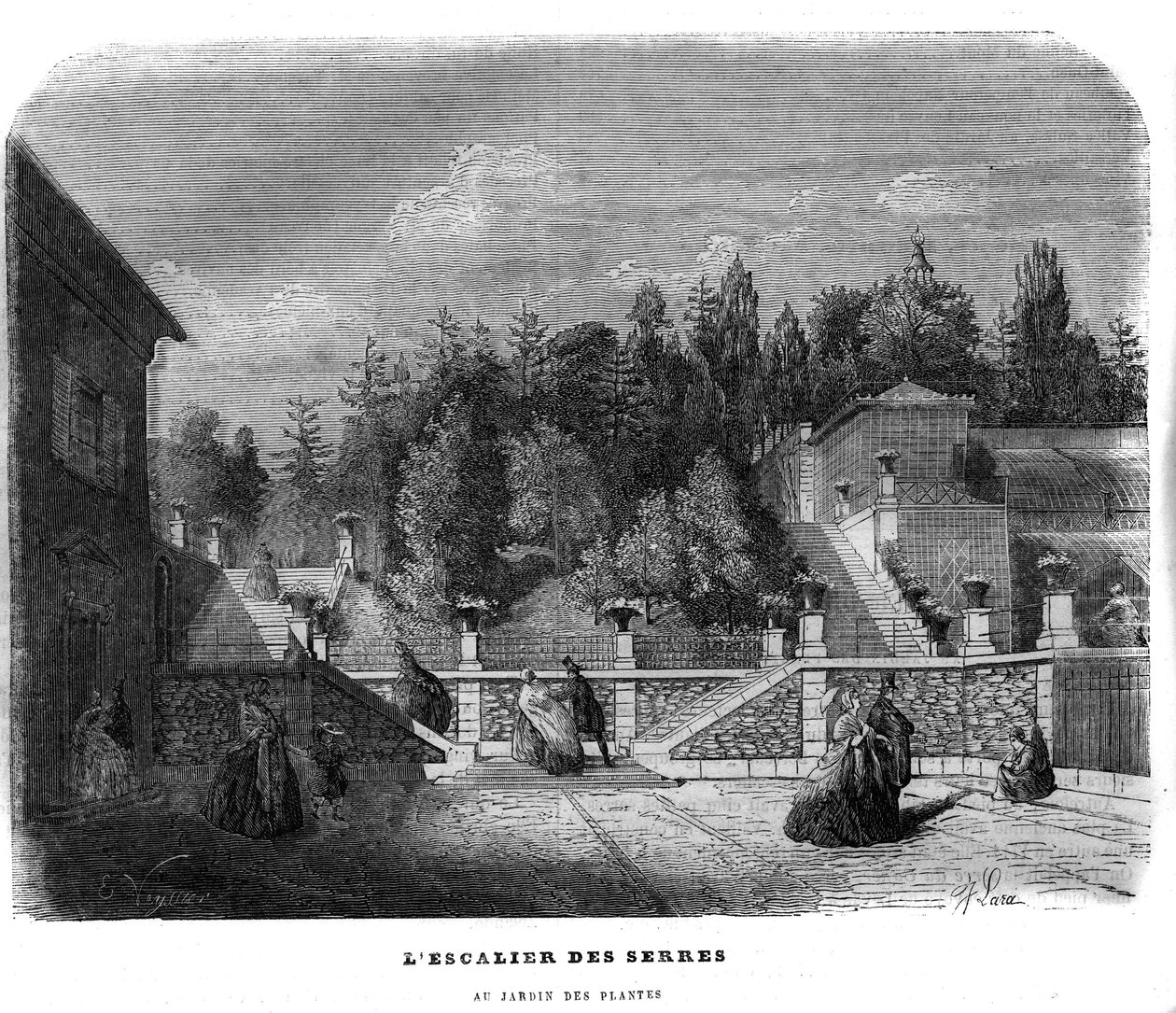 Trappen til drivhusene i hagen med planter i Paris i 1858. av Unknown artist