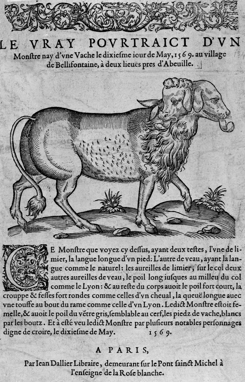 The vray would be of a monster nay of a cow the dixiesme iour of May av Unknown artist