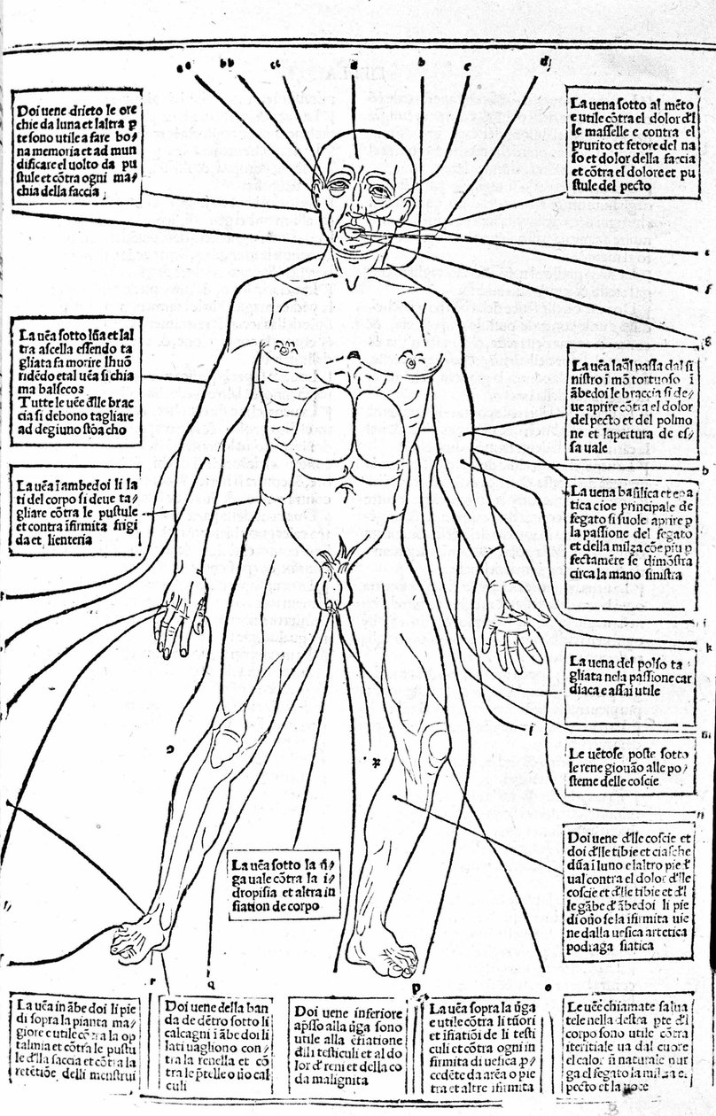 Dette bildet viser steder av kroppen eller praksis blødning avhengig av smerten. Treatise of Medicine av Gerolamo Cardano (Cardanus Hieronymus), Firenze av Unknown artist