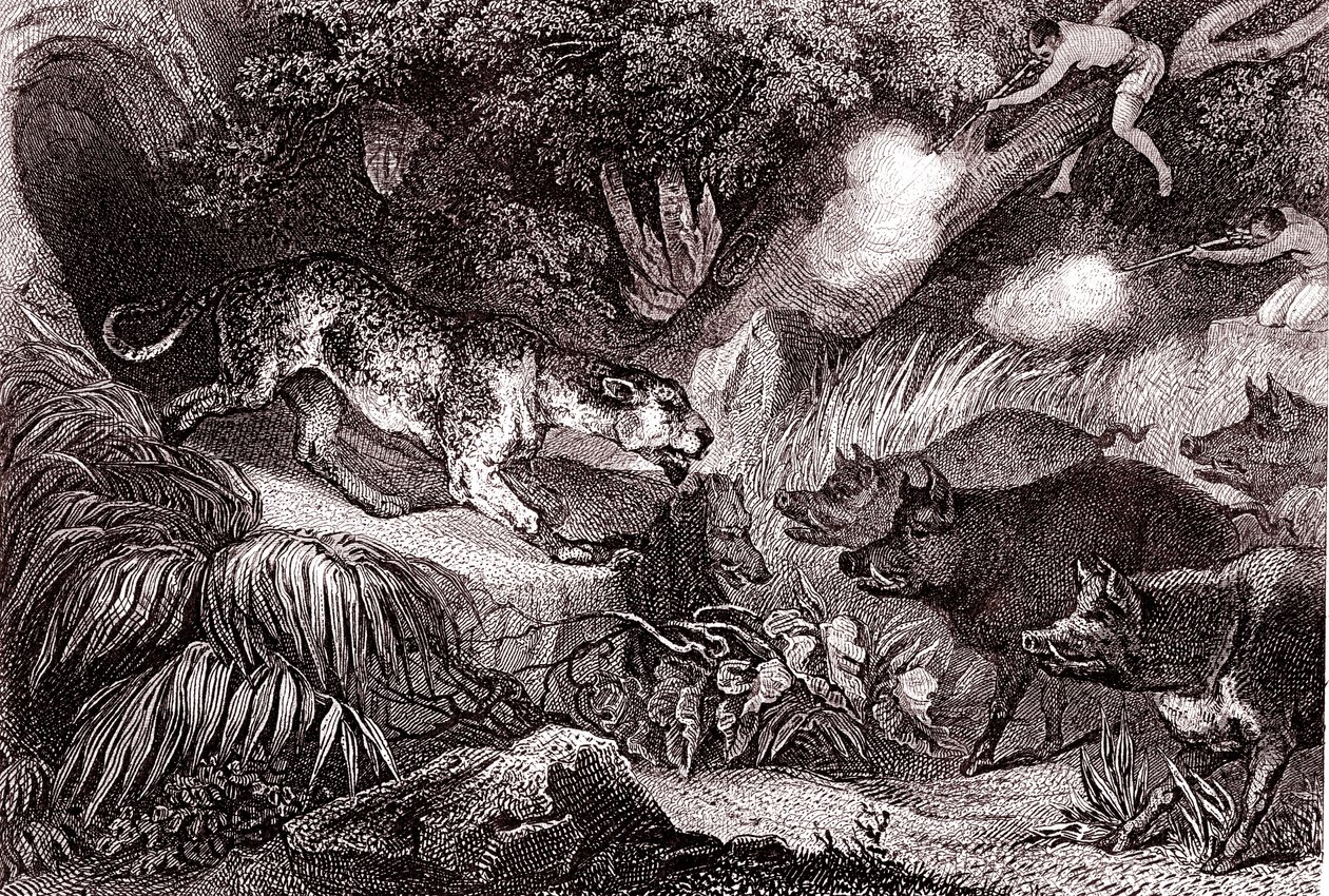 Tigerjakt i Amazonasskogen (gravering) av Unknown Artist