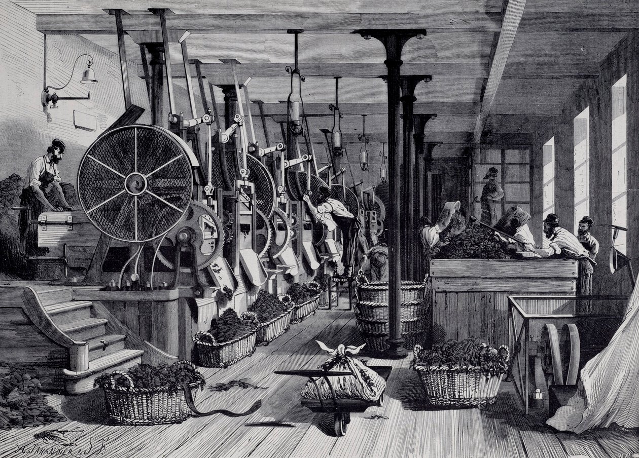 Tobakksfabrikk, vaskerom og tobakksrapage. Gravering rundt 1867. Paris, Musee Carnavalet av Unknown artist