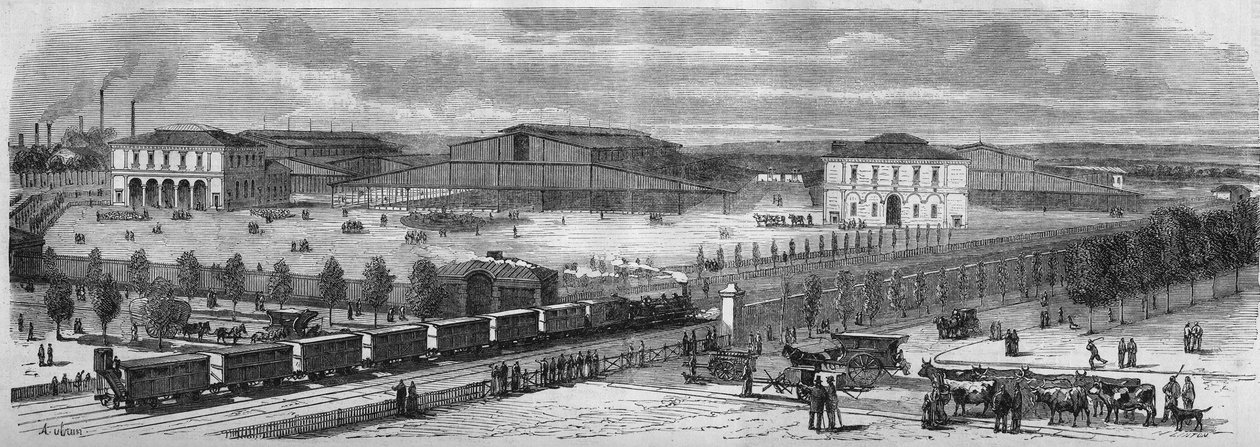 Transformasjoner av Paris under det andre imperiet, Paris Haussmann: Den nye marsjen til villettens storfe. av Unknown artist